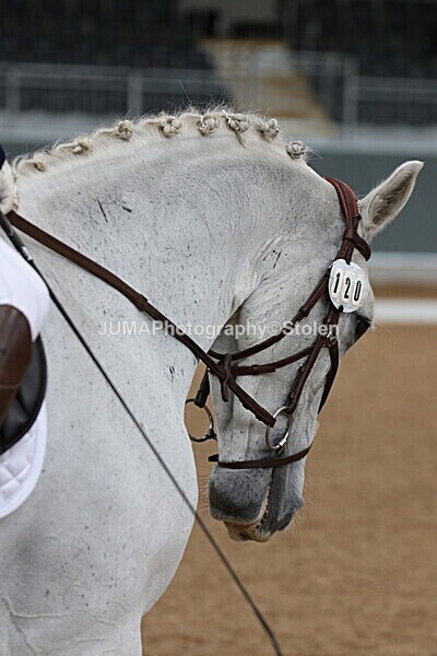 SIAL7649 - GDG Bogenraith Friday 26th Sept 2025