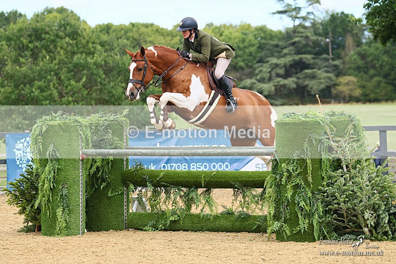 BSHA 100926 1141a - Equestrian