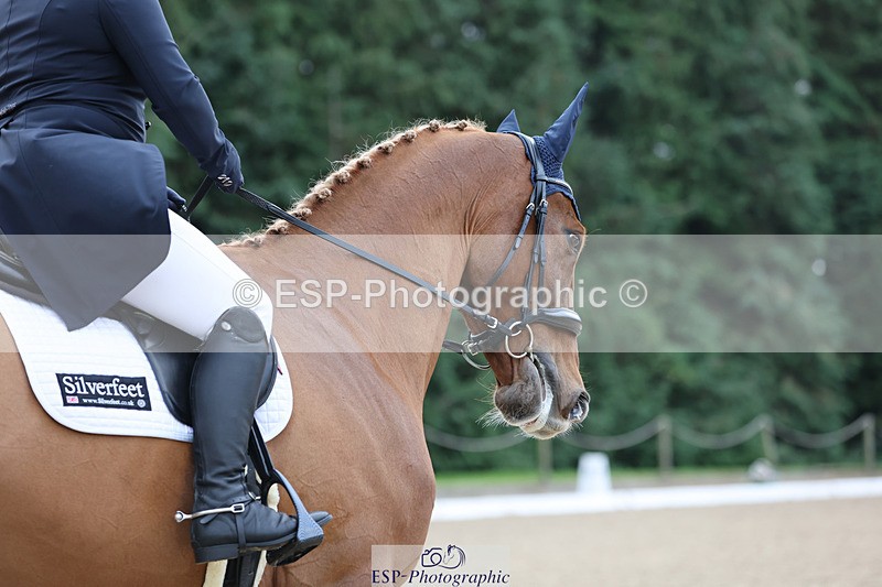 241024-102624-01384 - 211-Sara.Bowe-MHS.GLOBAL.COOLEY