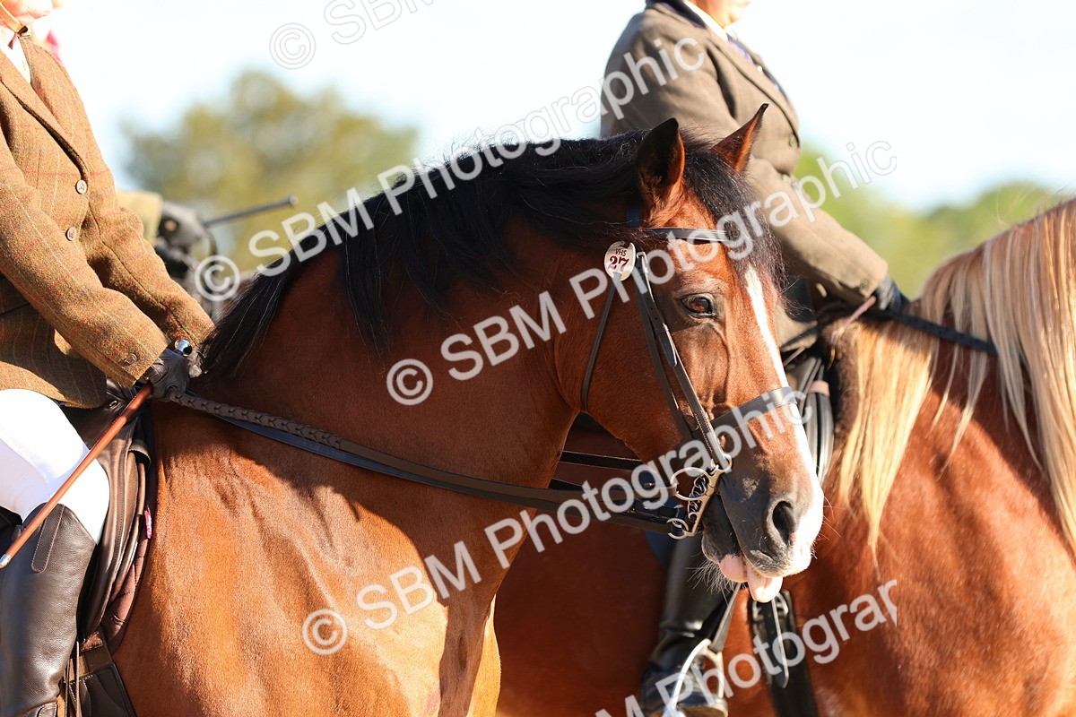 SBM_08230 - Class 202 - Best Turned Out -  Ridden