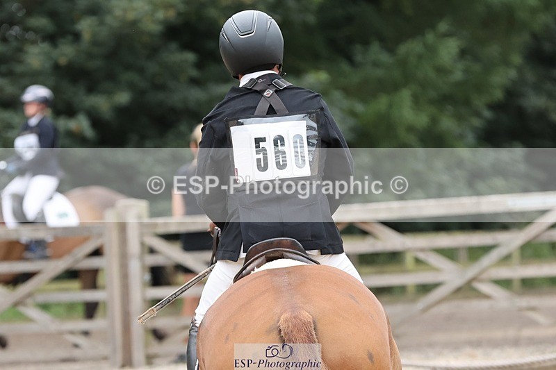 250803A-114733-12497 - M-560-Stephen.Way-BRENDONHILL.FAERIE.MAESTRO