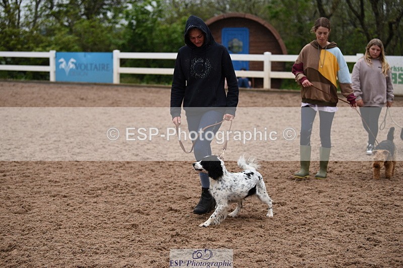 240518A-124638-01181 - Cls 5 Best Purebred