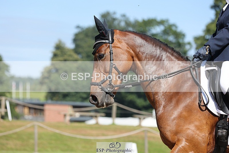 240719-102217-00672 - 227-Jane_Murray-Hebog_Mischief