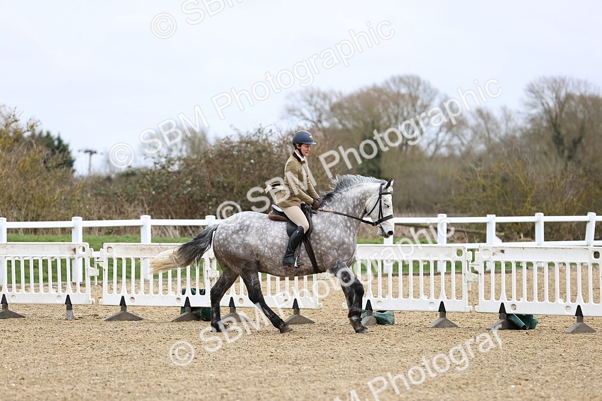 SBM_006977 - Class 29 - 30 - M&M Pure Novice Small-Large Breeds