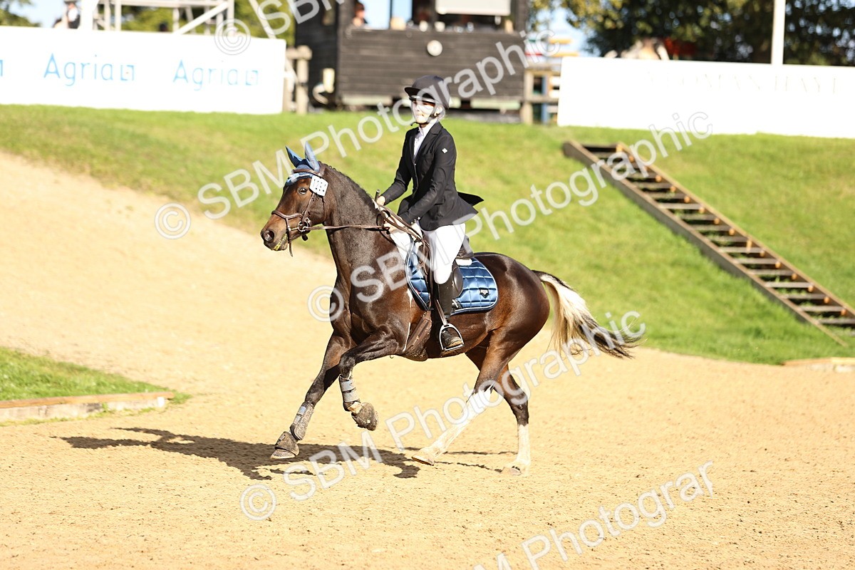 SBM_51325 - J10 - Junior Pony 75cm Championship