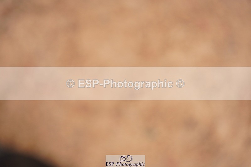 240506A-094856-08077 - Cls 12 Springboard 128cm & 138cm