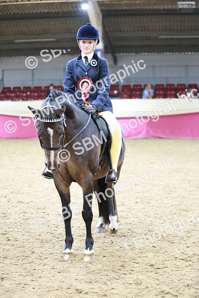 SBM_08379 - Class 11R - Regional Ridden Veteran