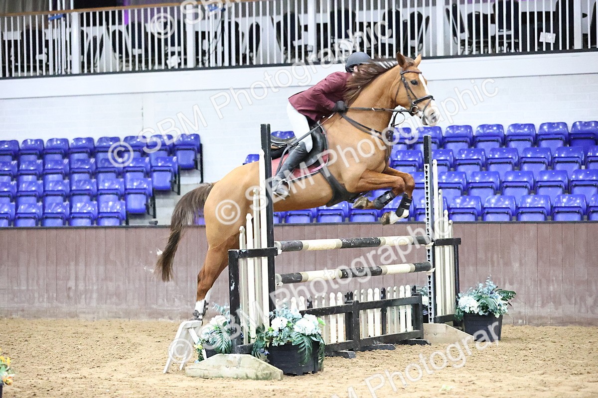 SBM_1920 - Class 8 - Nupafeed Supplements Senior Discovery/ 1m Open