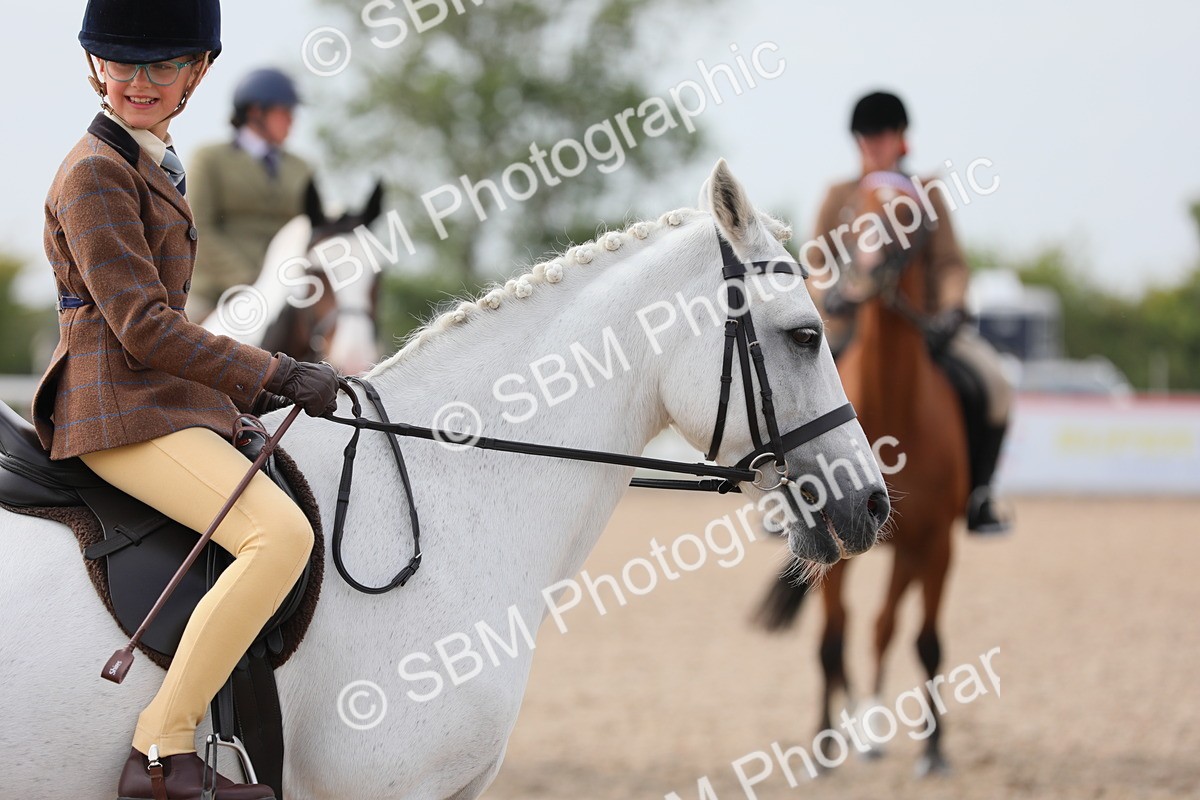SBM_17007 - Class 314 Family Horse/Pony