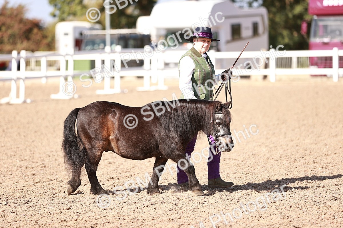 SBM_22752 - Class 705 - IH Combination 65+