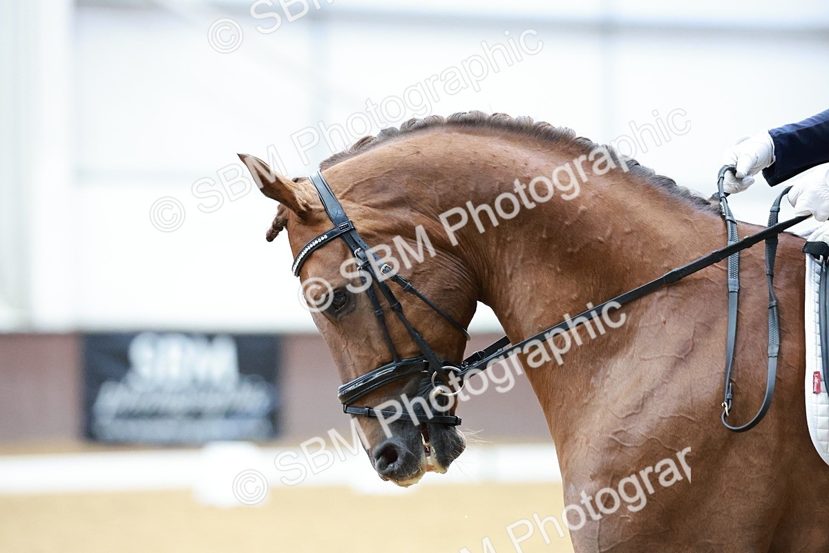 SBM_005707 - Class 3 - Medium 6 - 14.40-15.52