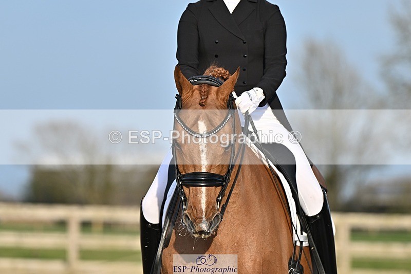 250404-183043-08687 - 150-Nathalie.Wahlund-Cerano.Gold