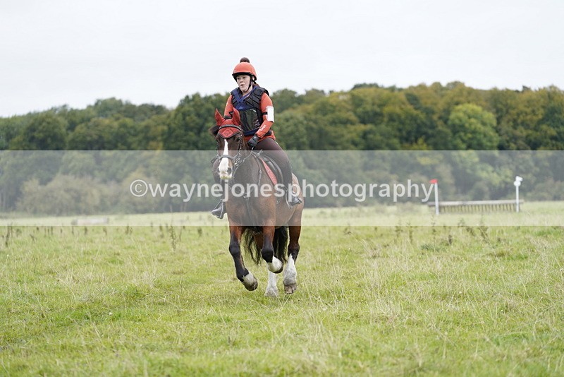 _DSC6561 - Time at Photographer 10:13 to 10:42