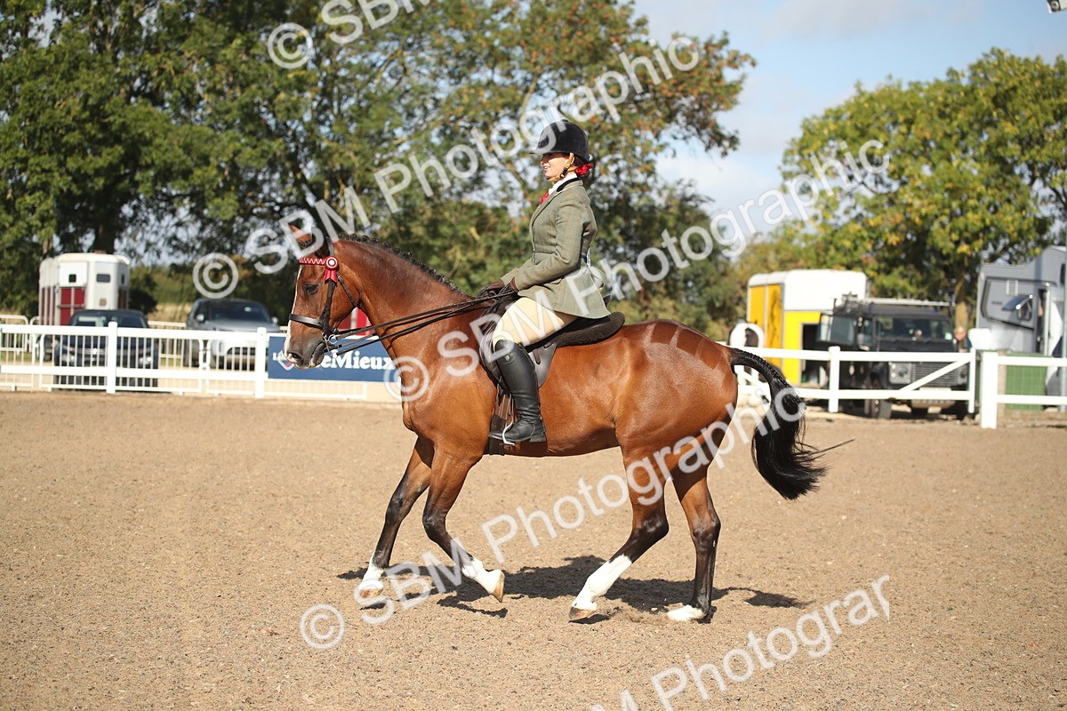 SBM_22716 - Class 601 - 2026 - Area - Ridden Diamond