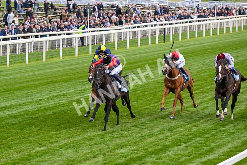 150526-Race 7-Portcullis-0396 - Race 7 5.15pm Darley EBF 'Confined' Novice Stakes