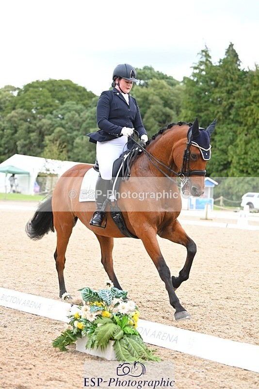 230813-132607-07563 - Cls 13 Medium Bronze 13.15 to End