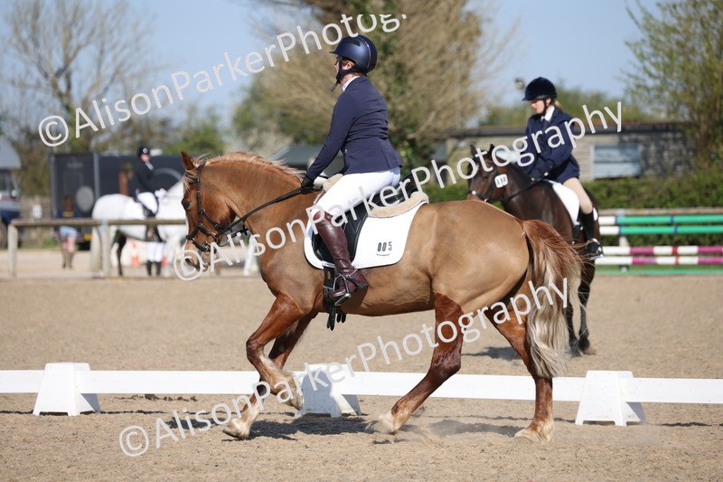 20250405-0276 - Class 11 - My Quest Novice 3
