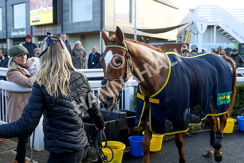 010124-Race 4-Justus-4202 - Race 4