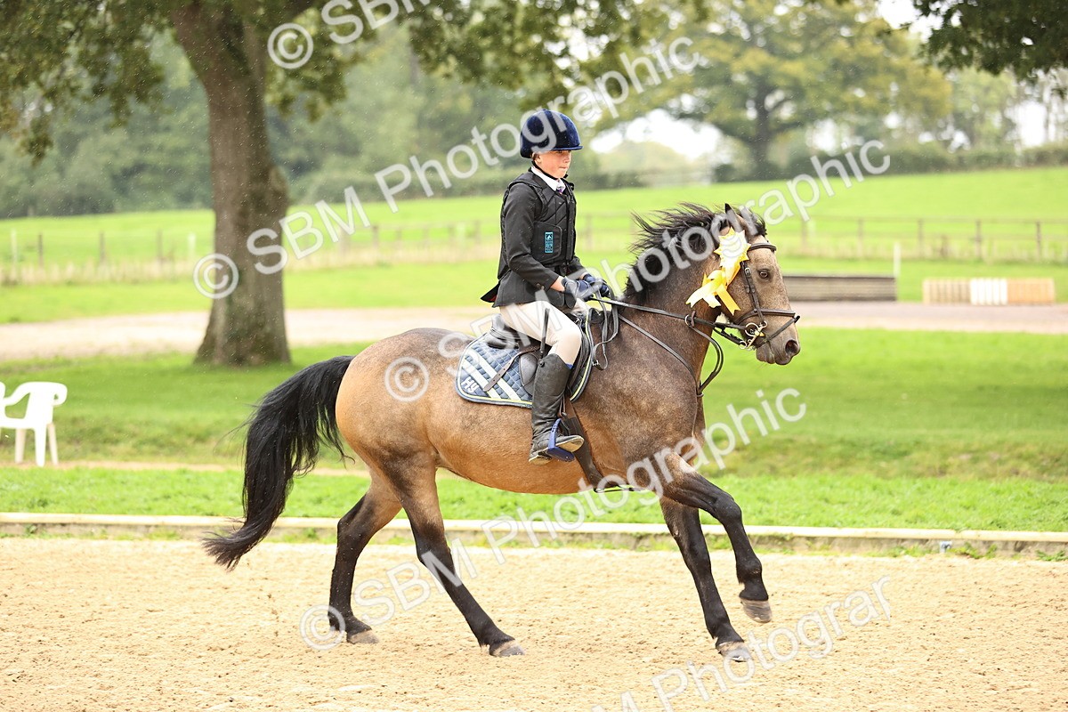 SBM_69061 - J18 - Junior Pony 85cm championship