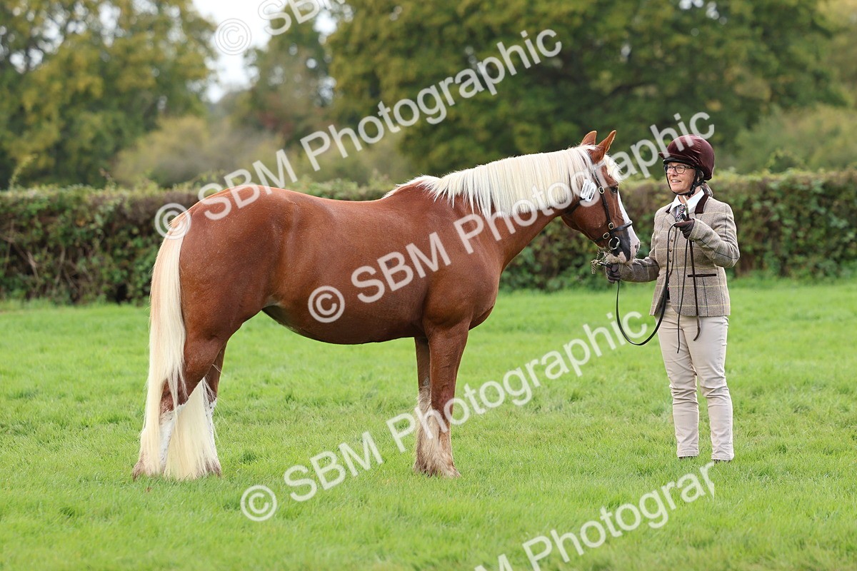 SBM_39444 - S24 - Young Veteran In Hand