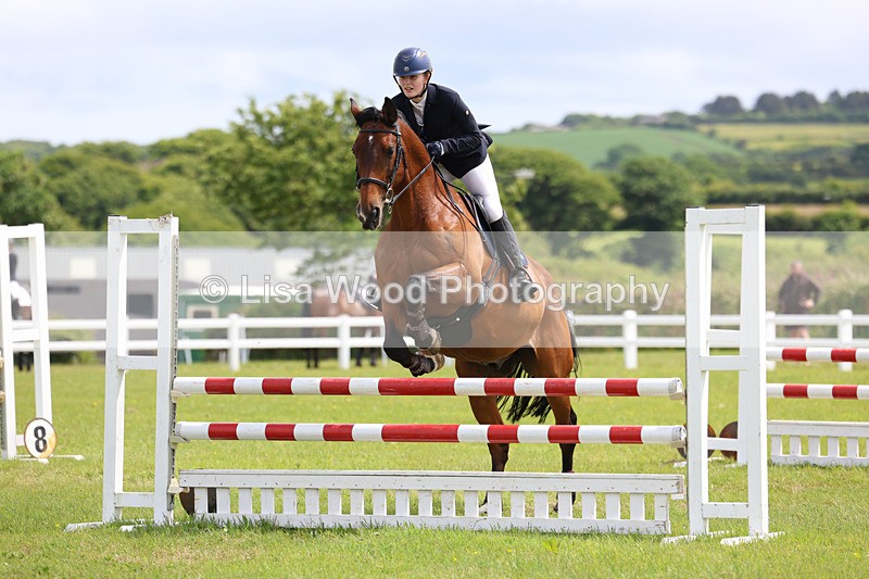 3E7A7524 - Class 13: Senior British Novice/90cm open