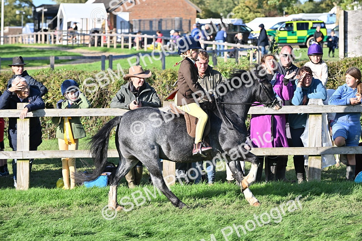 SBM_53027 - S23 - First Ridden Mountain & Moorland Pony