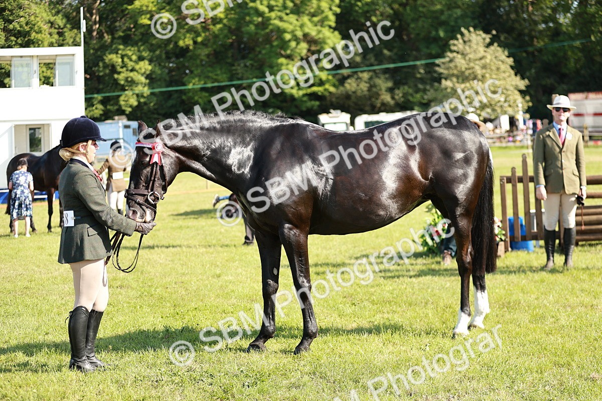 SBM_19266 - Class 115-116 - LIHS BSHA Rising Star Working Hunter & Show Horse