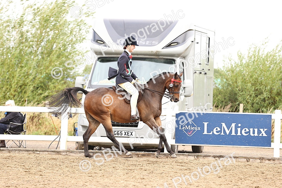 SBM_01463 - Class 54 - Riding Club Horse Pony