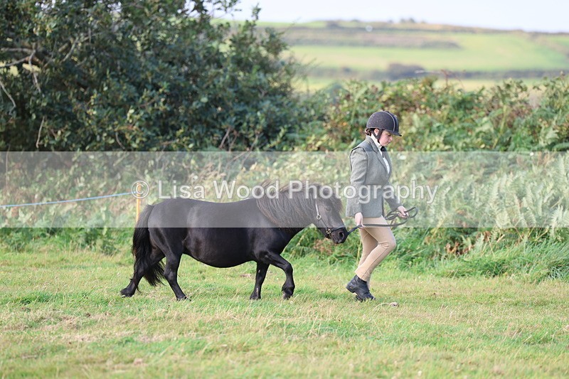 3E7A3123 - Class 12: M & M Small Breeds