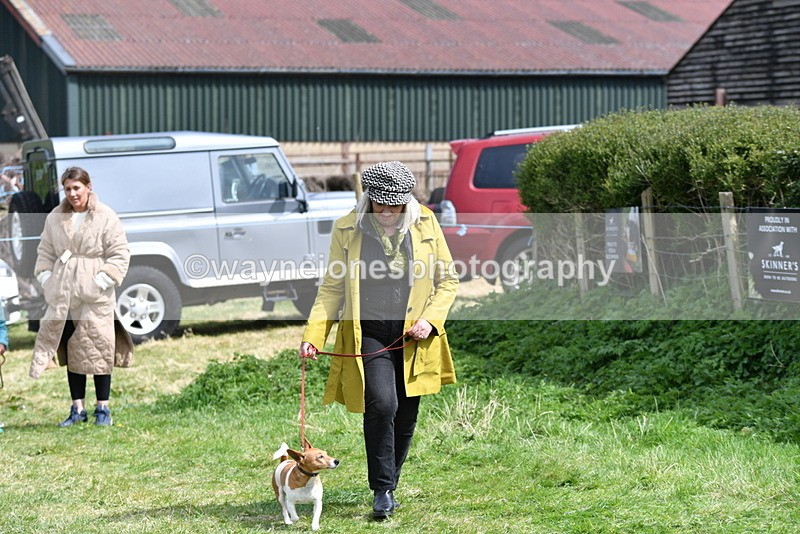 WJ5_0447 - Class 7 Best Terrier