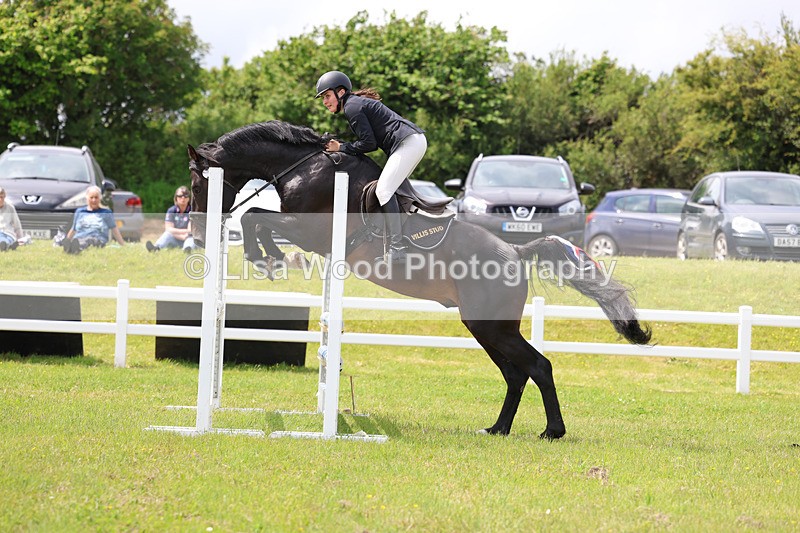 3E7A7465 - Class 13: Senior British Novice/90cm open