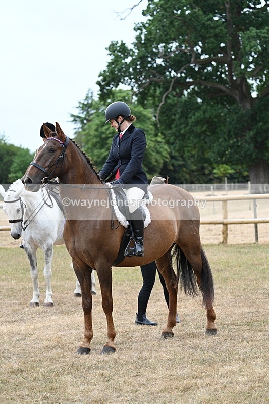 WJ7_0803 - Class 7 Riding Club Show Horse