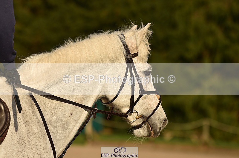 240218-152338-03085 - XC 14.30 to 15.30