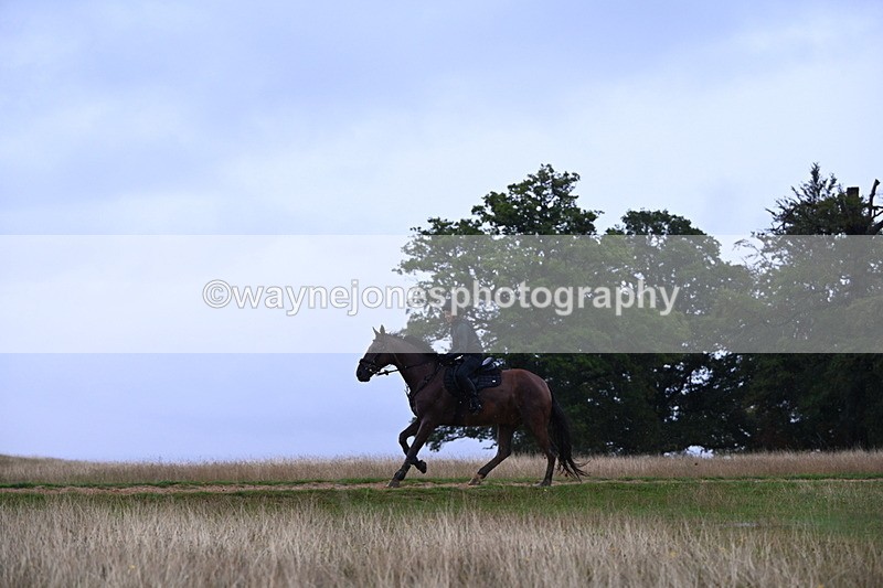 DSC_3326 - Time at Statue 13:51 to 14:55