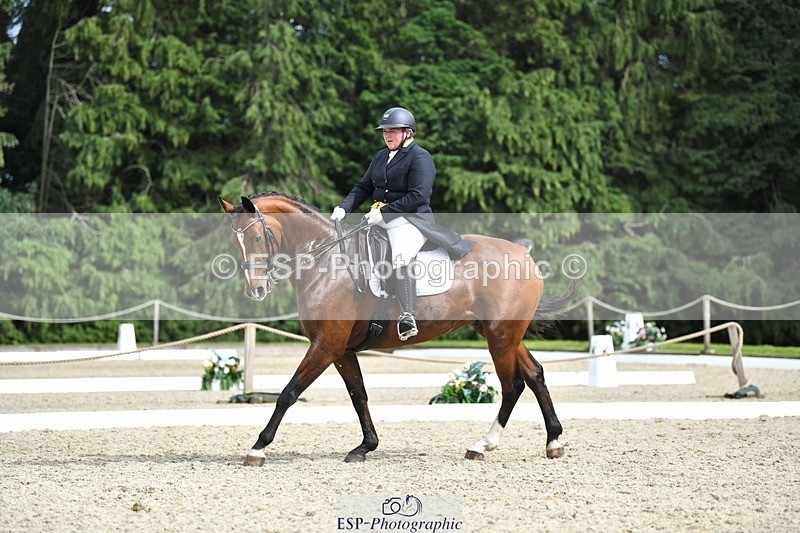 230812-155216-05232 - Cls 10 FEI Inter I Silver