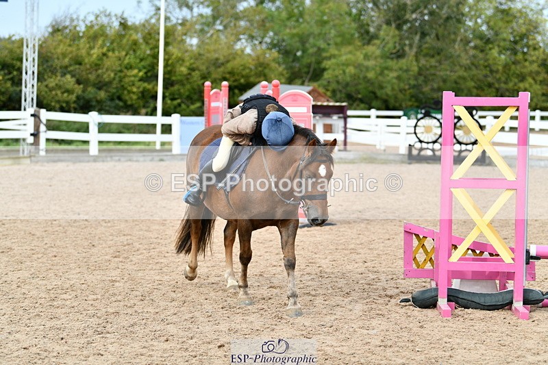 241013B-130207-01152 - Cls 3 50cm