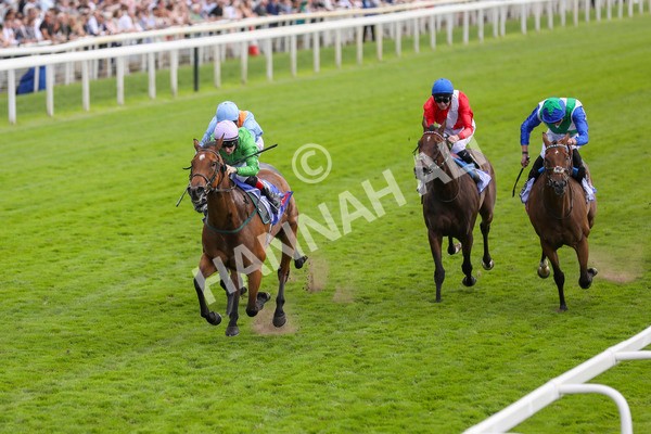 240824-Race 3-Breege-8968 - Race 3 3.00pm Sky Bet City Of York Stakes