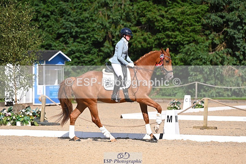 240809-163606-02415 - Novice Gold