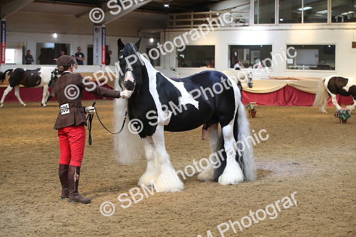 SBM_05605 - Class 9R - Regional IH Pre-Vet