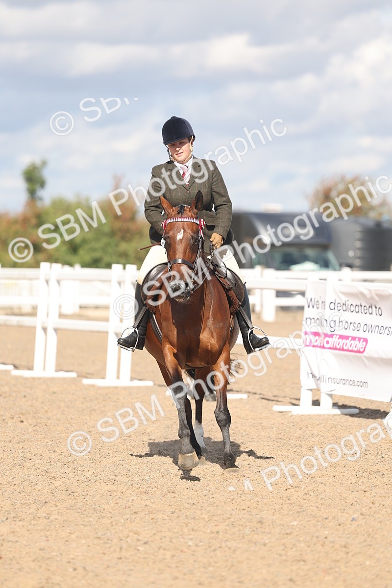 SBM_13178 - Class 306 - Ridden Foreign Breds - Part Bred