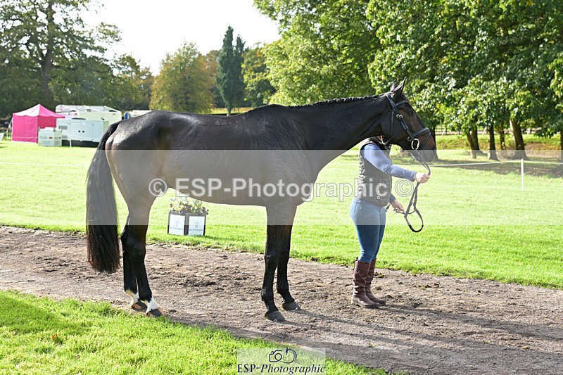 241023-132847-00316 - 051-Tommy.Greengard-BALLADEER.KILBRICKENS.LAD