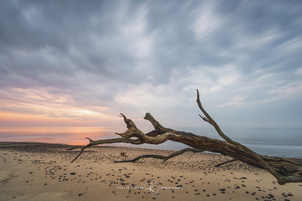 Reaching for dawn - Covehithe