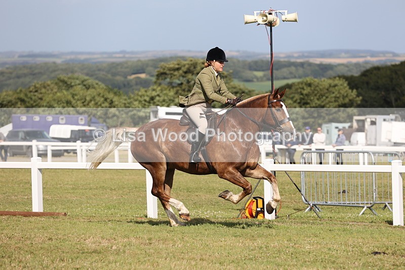 JPP_2944 - Class 20: Working Hunter 70cm