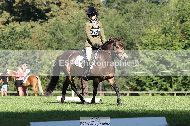 250823A-103014-27719 - Arena D