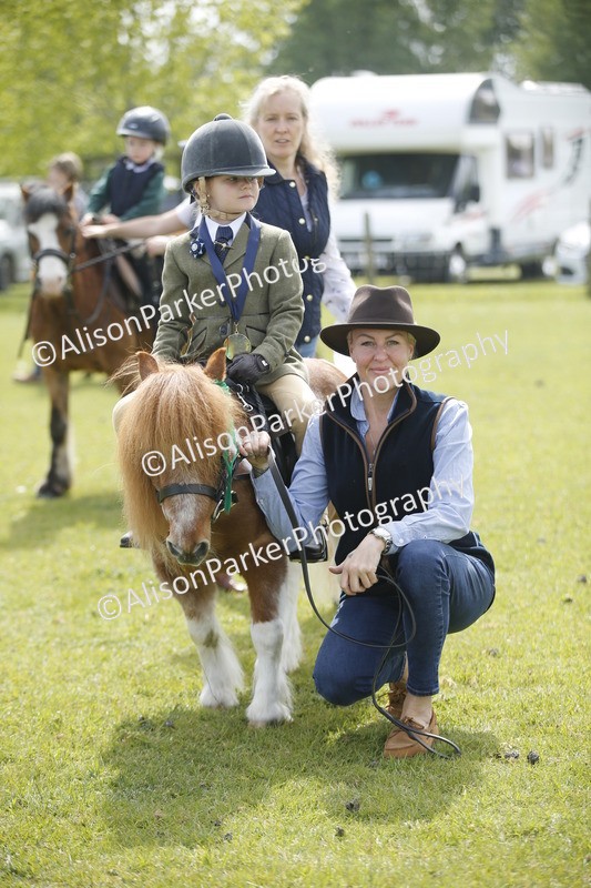 20260426-1899 - Class 7 - Pony Judge Would Most Like To Take Home