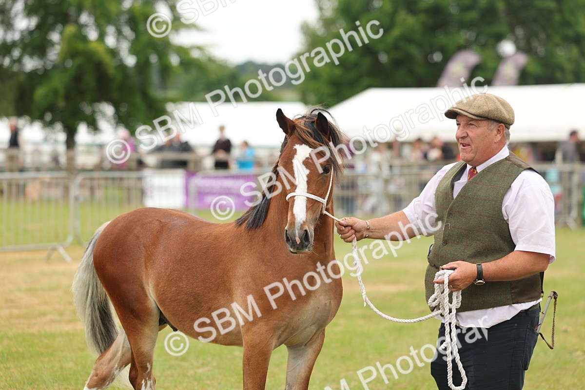 SBM_02365 - Class 50-57 - M&M Welsh Pony In Hand