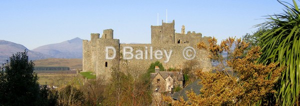 Harlech Castle - Castles