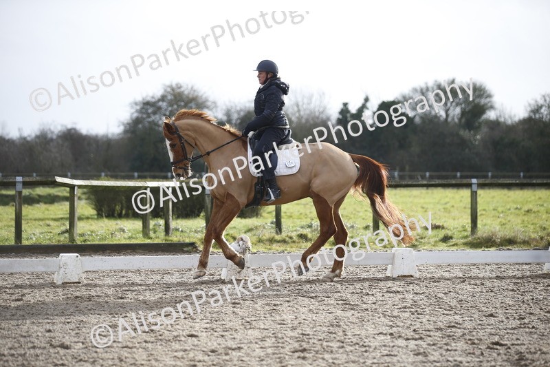 20260127-0337 - Class 16 - BD Novice 2