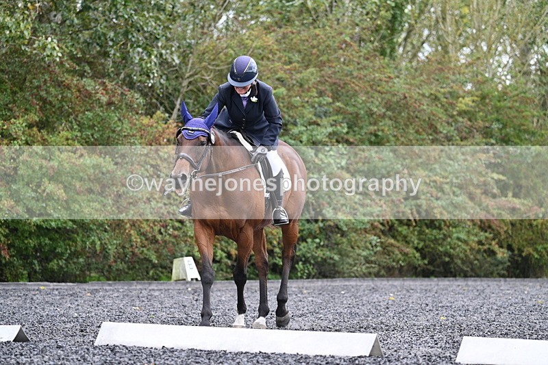 WJ7_6514 - Time 14:49 to 15:14