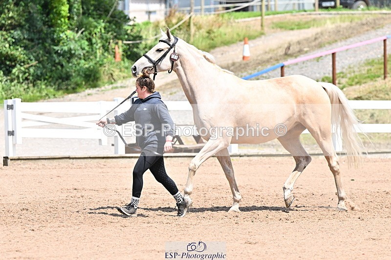 240718A-105315-01759 - Trot Up 1pm to 2pm